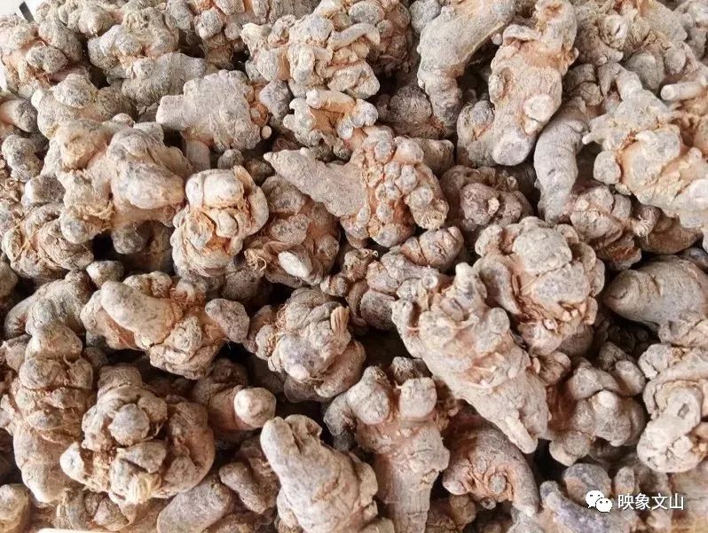 文山三七最新价格，探寻市场趋势与优质选择选择攻略
