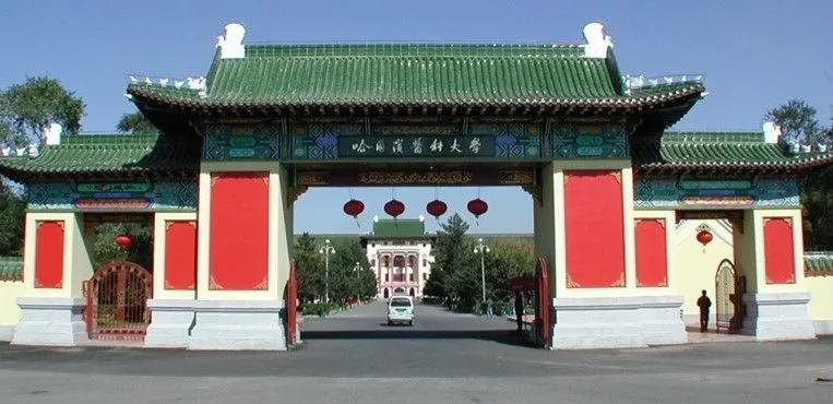 哈尔滨最新招聘信息更新，城市求职小插曲