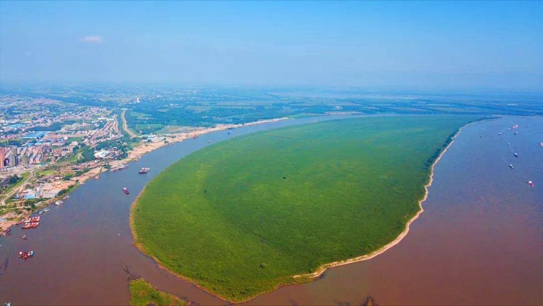 中央环保督察组山东行动，任务完成与技能学习指南的最新动态