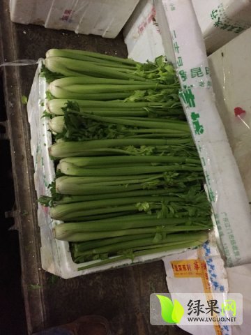 西芹最新市场价格概览与指南