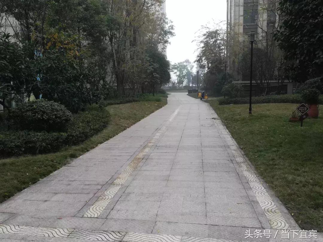 宜宾龙湾一号最新价格揭秘，最新价格信息一览