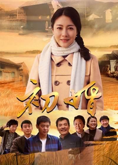 五羊城下电视剧全集，重温经典，故事魅力探寻