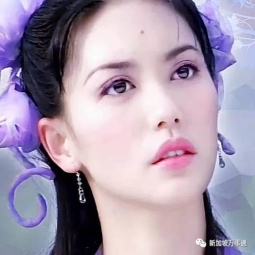 新加坡明星，从舞台璀璨到人生绚烂——星光熠熠展现自信与成就的力量