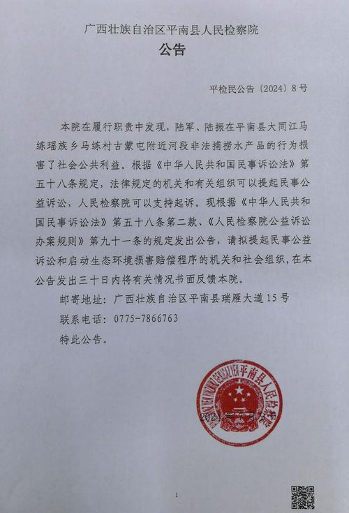 广西平南最新人事任免，小巷中的独特风味探寻