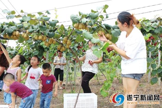 射洪最新新闻报道汇总