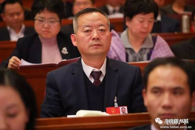 宫建军最新动态解析及报道