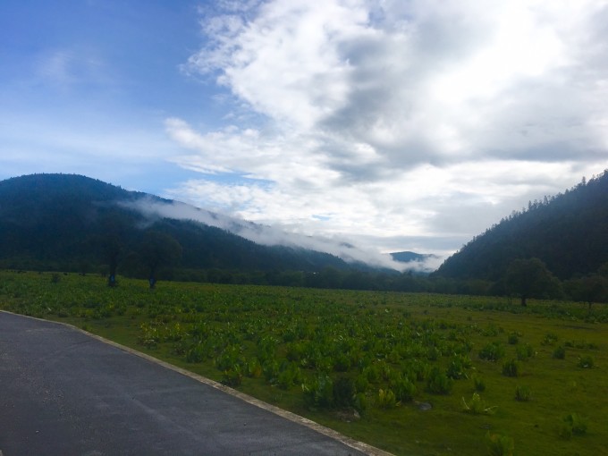 Yezhulu最新地，小巷隐藏宝藏的独特环境魅力