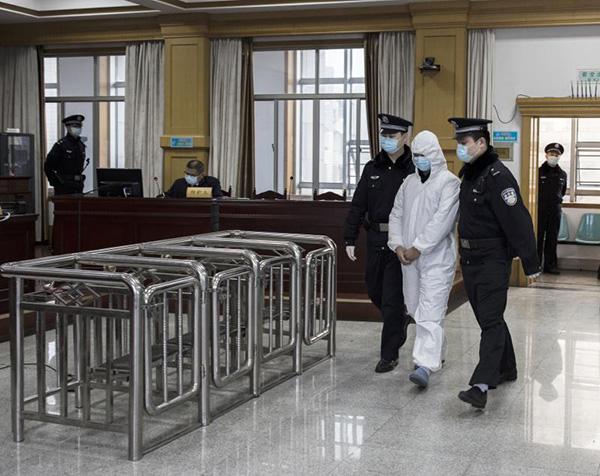 疫情最新刑案论述，法律应对与案例分析