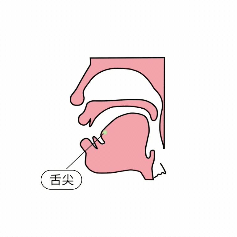 最新翘舌音现象，背景、发展、影响及在当代的地位