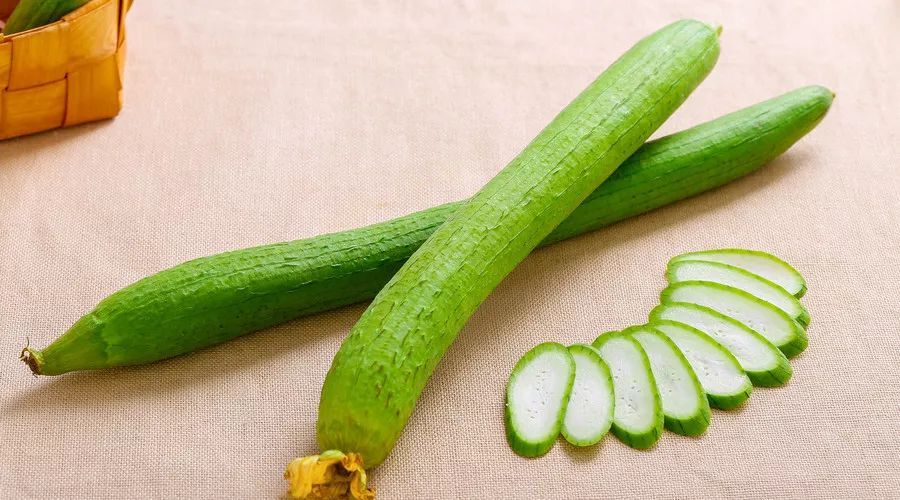 探索丝瓜网站最新动态，小红书带你领略最新资讯潮流