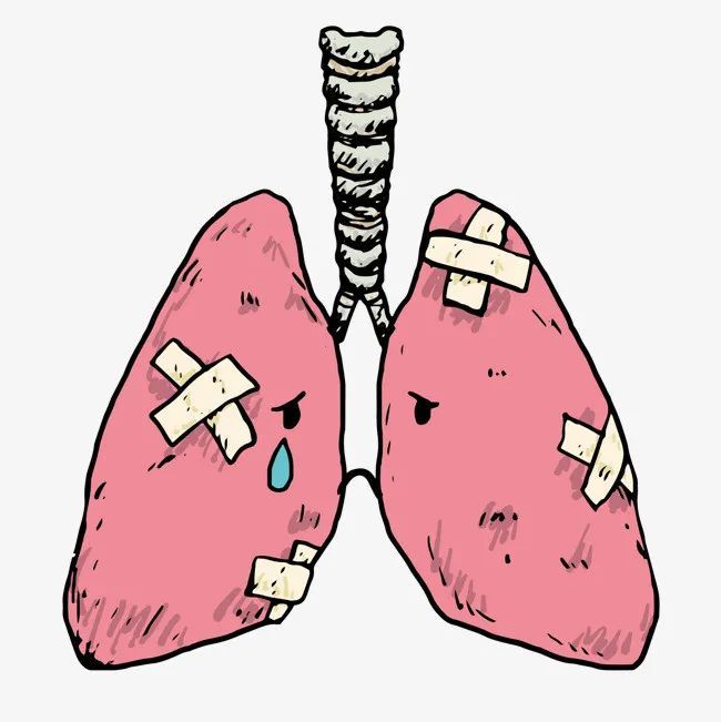 多维度视角下的非肺炎最新论述观点分析