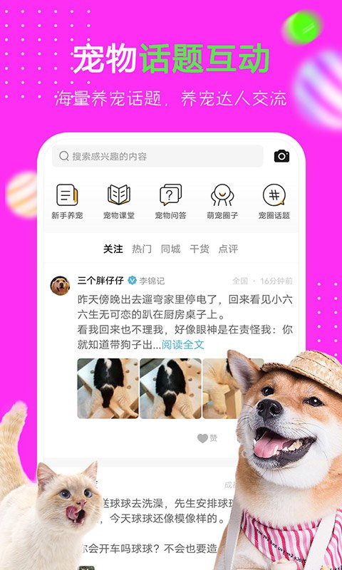 最新爱宠，养宠全攻略，让你的宠物生活更美好！