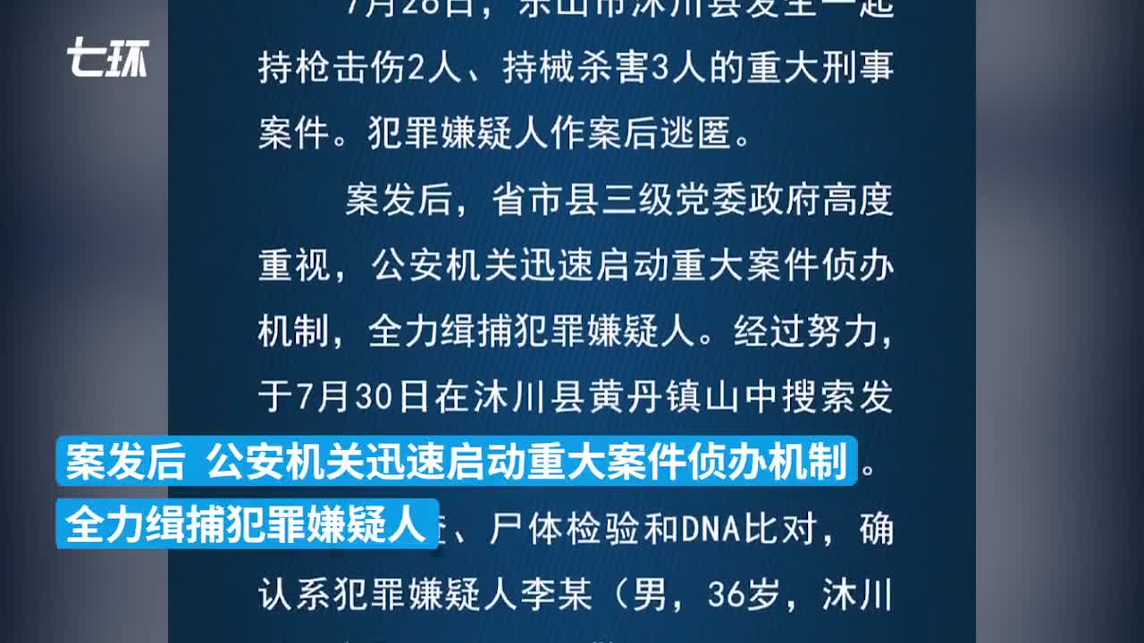 乐山最新案件深度解析，探讨案件要点