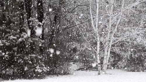 陕西雪景绝美画卷，雪域仙境的梦幻呈现