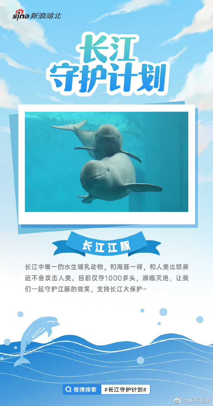 长江保护最新步骤指南，全面守护长江生态安全之道