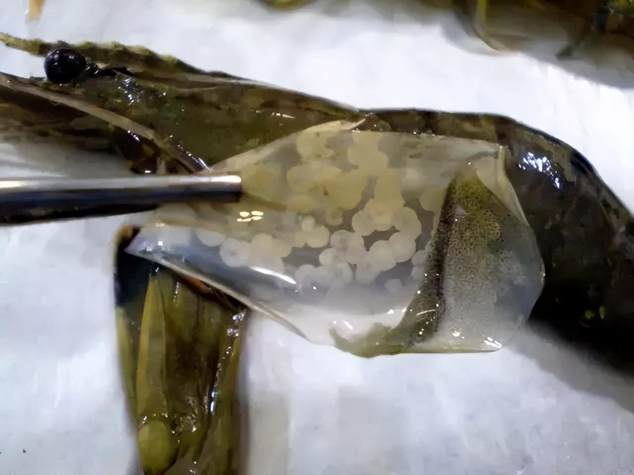 最新临床用药科技重塑医疗，未来健康之旅的崭新体验